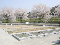 大川瀬中野霊園